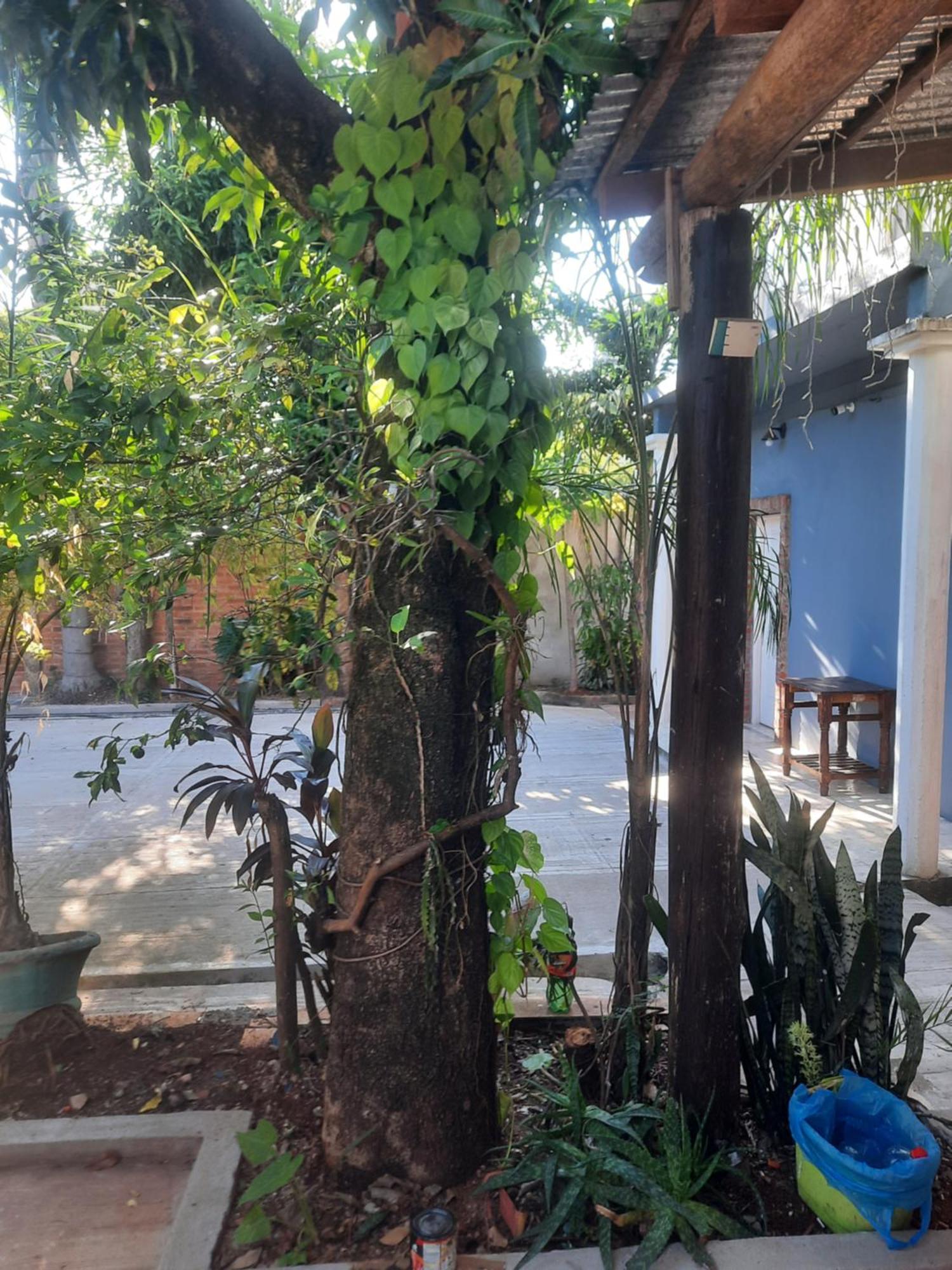 La Posada De Dante Puerto Iguazu Bagian luar foto