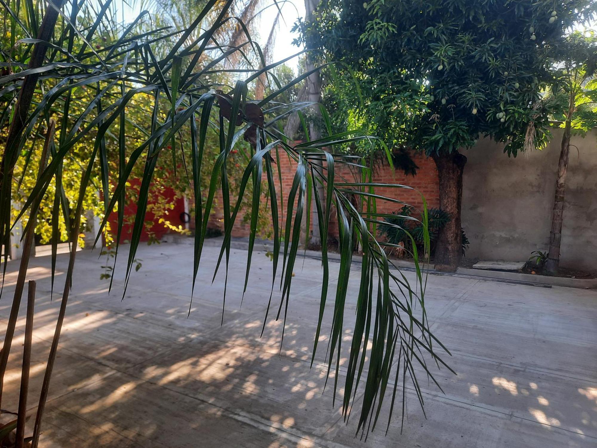 La Posada De Dante Puerto Iguazu Bagian luar foto